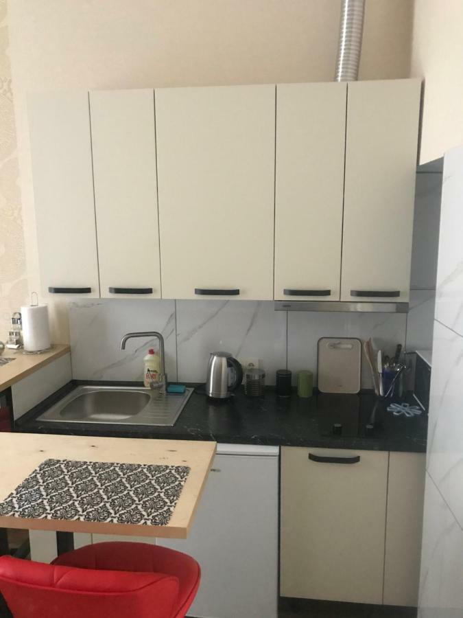 Apartment Barvy Lvova On Kostyushka St Dış mekan fotoğraf